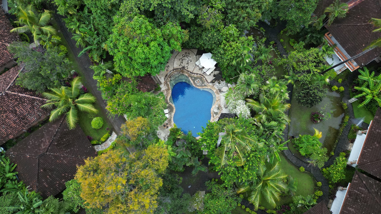 Balinese tropical garden with pool